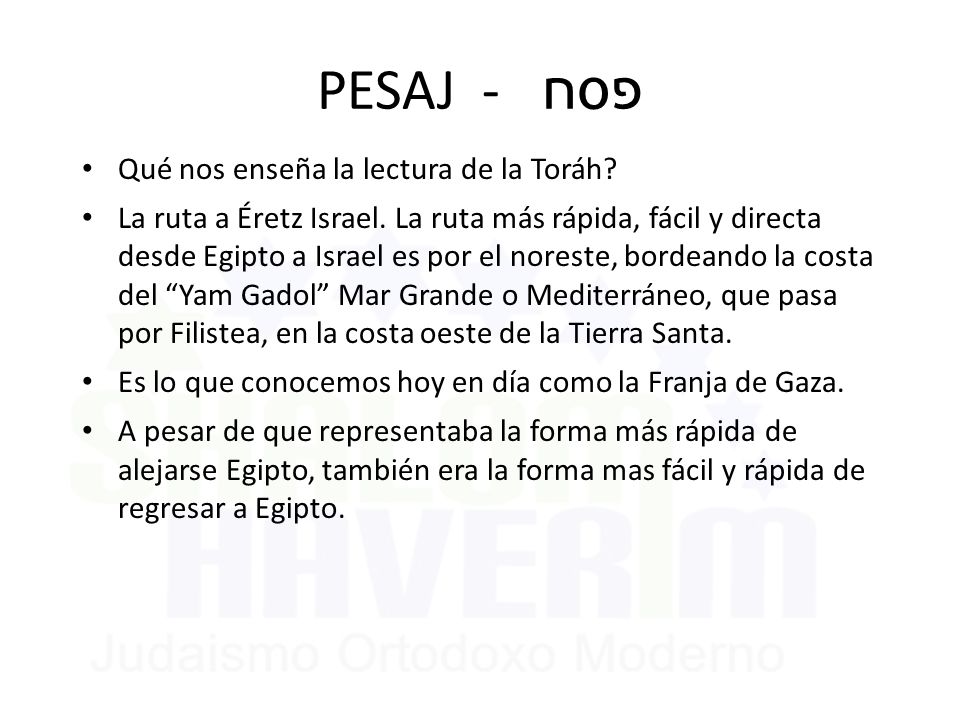 PESAJ - פסח Qué nos enseña la lectura de la Toráh