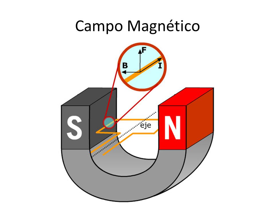 ¿Qué pasa si ingresamos una espira donde existe campo magnético