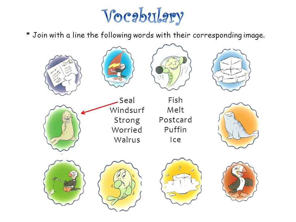 Vocabulary Seal Fish Windsurf Melt Strong Postcard Worried Puffin