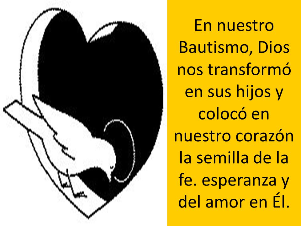 En nuestro Bautismo, Dios nos transformó en sus hijos y colocó en nuestro corazón la semilla de la fe.