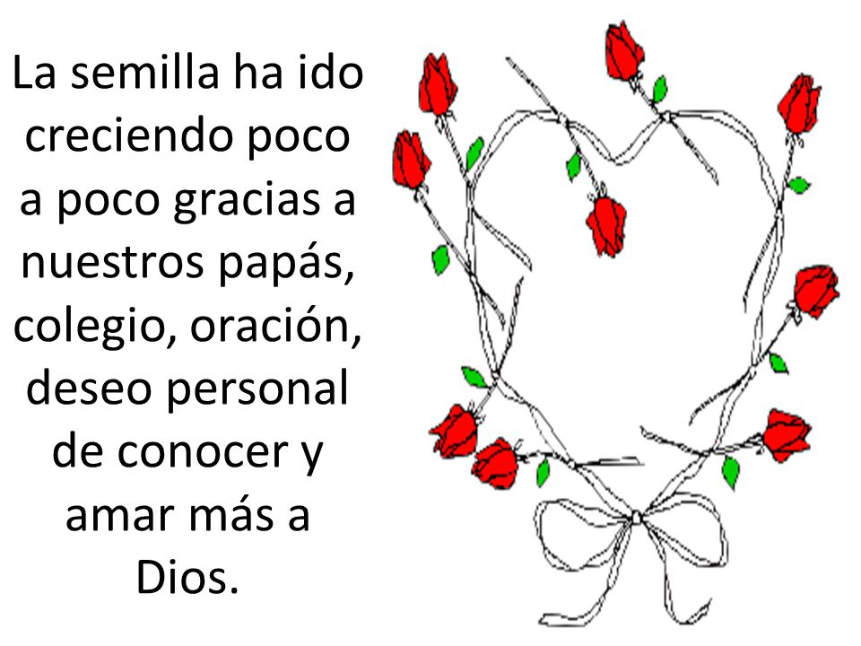 La semilla ha ido creciendo poco a poco gracias a nuestros papás, colegio, oración, deseo personal de conocer y amar más a Dios.