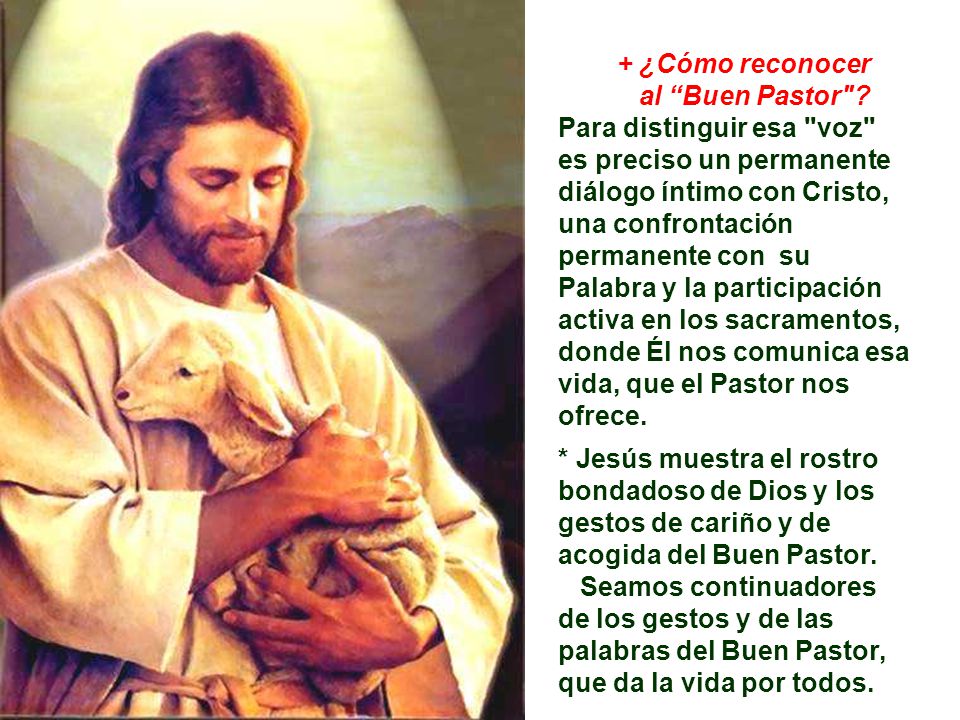 + ¿Cómo reconocer al Buen Pastor Para distinguir esa voz es preciso un permanente diálogo íntimo con Cristo,