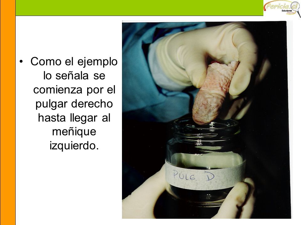 Como el ejemplo lo señala se comienza por el pulgar derecho hasta llegar al meñique izquierdo.