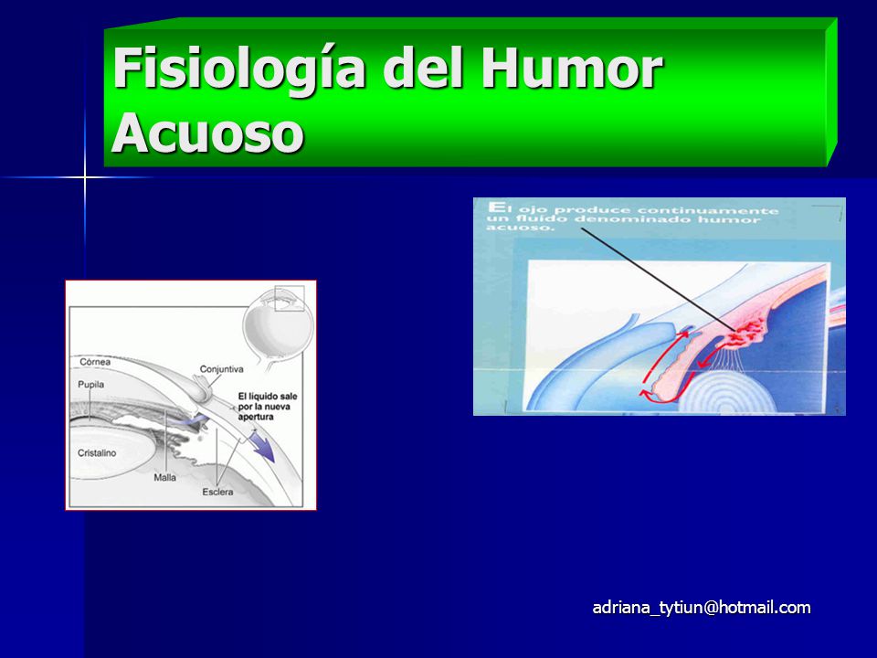 Fisiología del Humor Acuoso