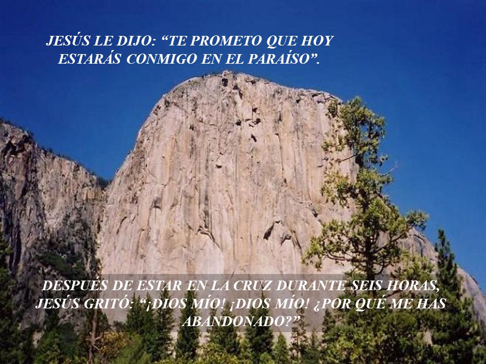JESÚS LE DIJO: TE PROMETO QUE HOY ESTARÁS CONMIGO EN EL PARAÍSO .