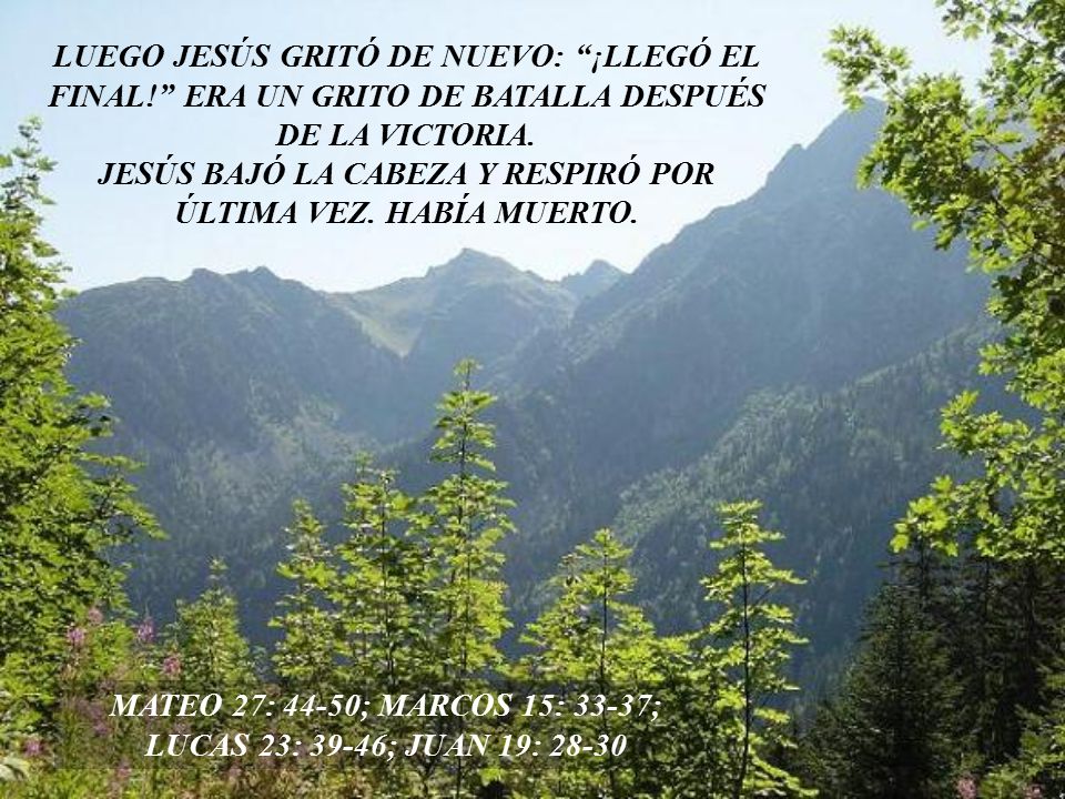 JESÚS BAJÓ LA CABEZA Y RESPIRÓ POR ÚLTIMA VEZ. HABÍA MUERTO.