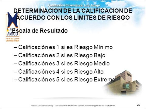 DETERMINACION DE LA CALIFICACION DE ACUERDO CON LOS LIMITES DE RIESGO