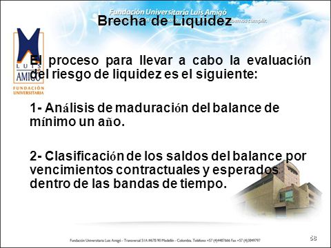 Brecha de Liquidez El proceso para llevar a cabo la evaluación del riesgo de liquidez es el siguiente: