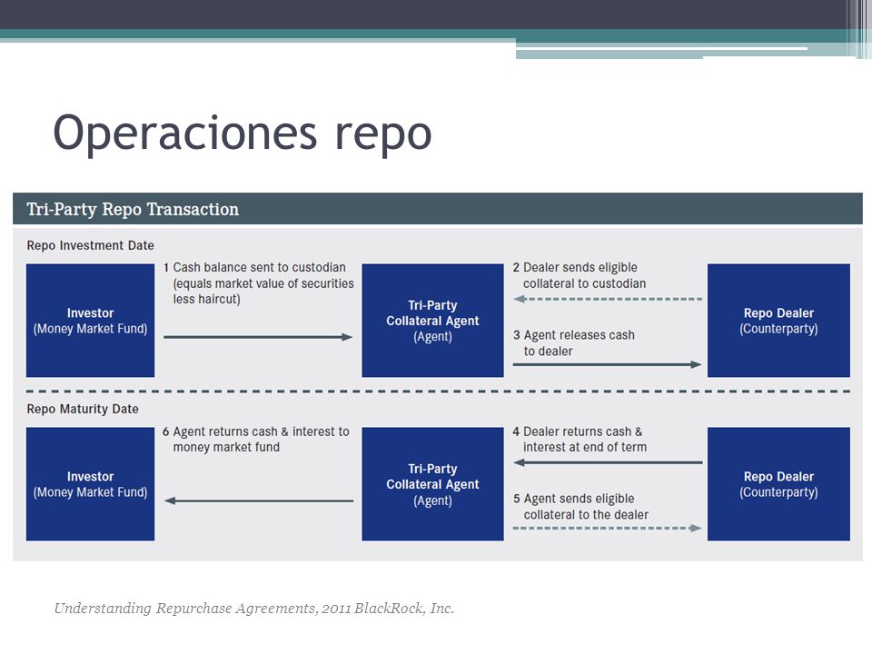 El problema de los REPOS - ppt descargar