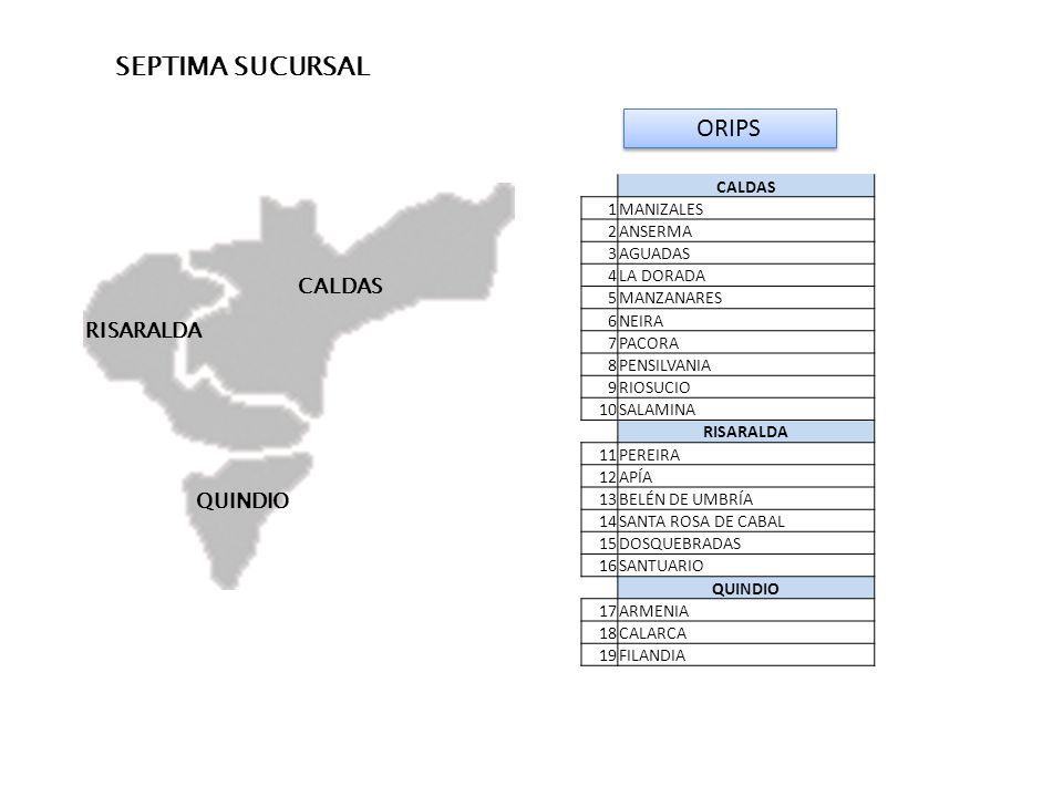 SEPTIMA SUCURSAL ORIPS CALDAS RISARALDA QUINDIO CALDAS 1 MANIZALES 2