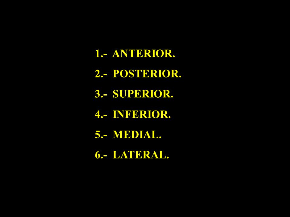1.- ANTERIOR. 2.- POSTERIOR. 3.- SUPERIOR. 4.- INFERIOR. 5.- MEDIAL. 6.- LATERAL.
