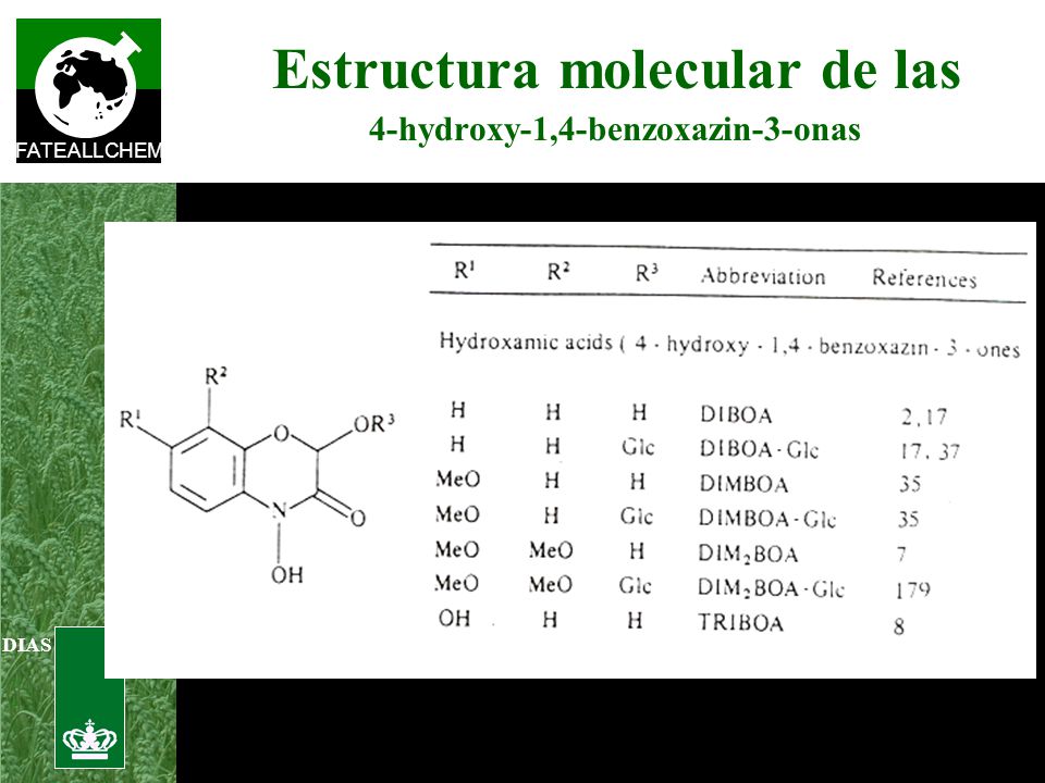 Estructura molecular de las 4-hydroxy-1,4-benzoxazin-3-onas