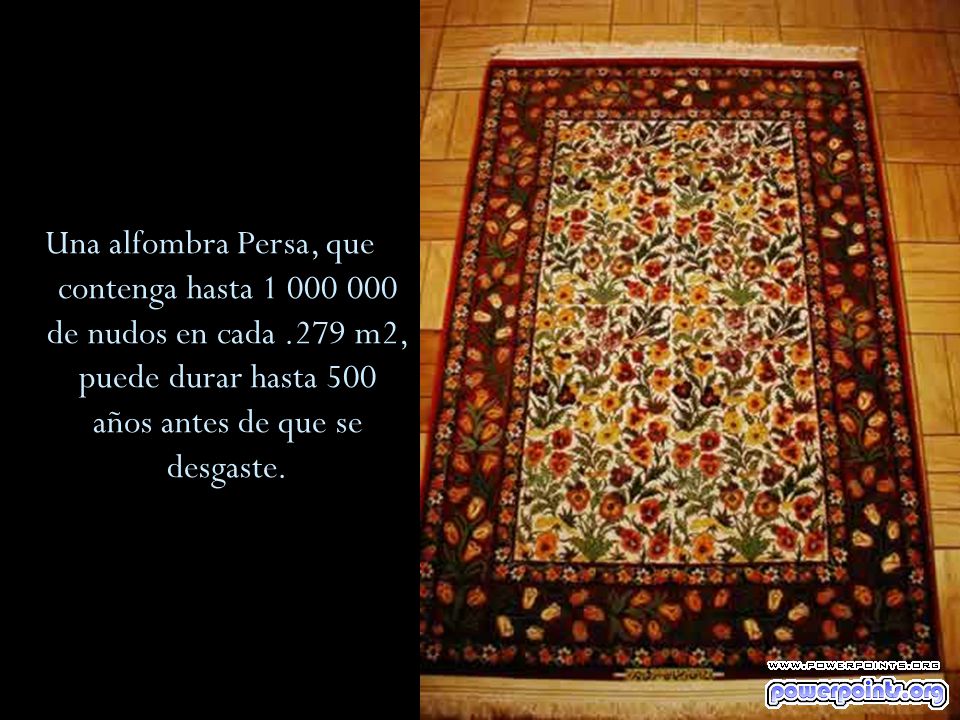 Una alfombra Persa, que contenga hasta de nudos en cada