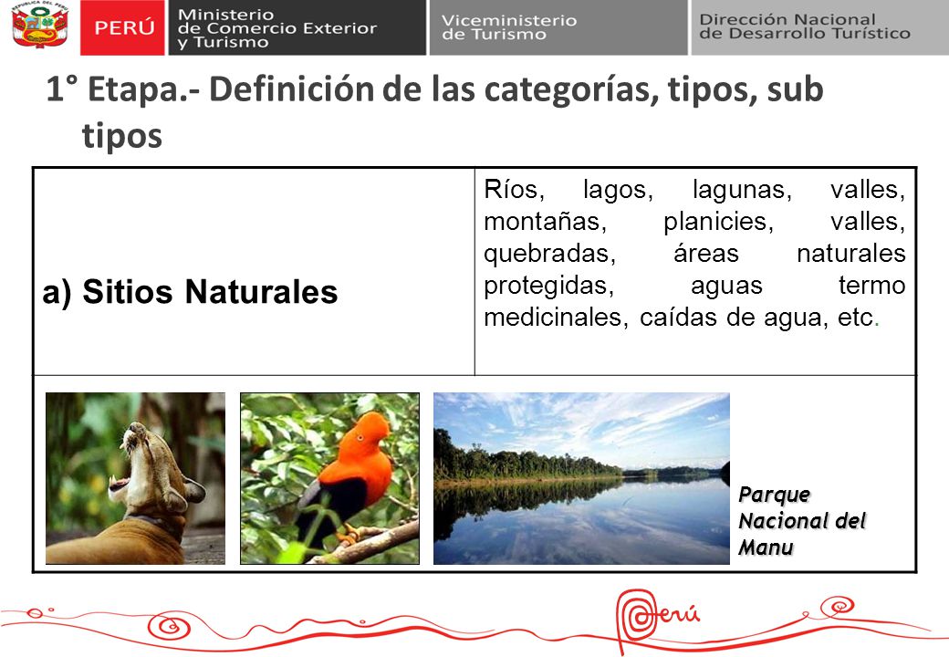1° Etapa.- Definición de las categorías, tipos, sub tipos
