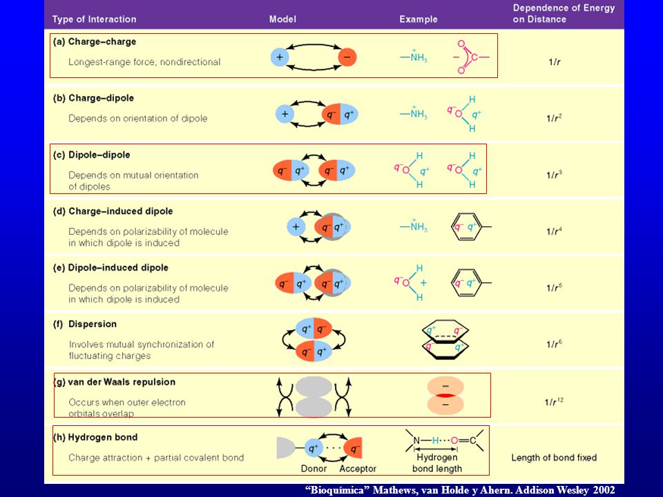 Bioquímica Mathews, van Holde y Ahern. Addison Wesley 2002