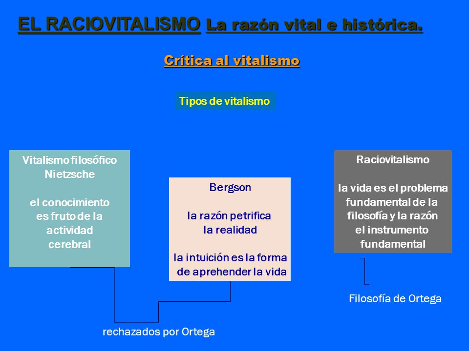 es fruto de la actividad la intuición es la forma