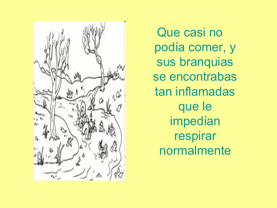 Que casi no podía comer, y sus branquias se encontrabas tan inflamadas que le impedían respirar normalmente