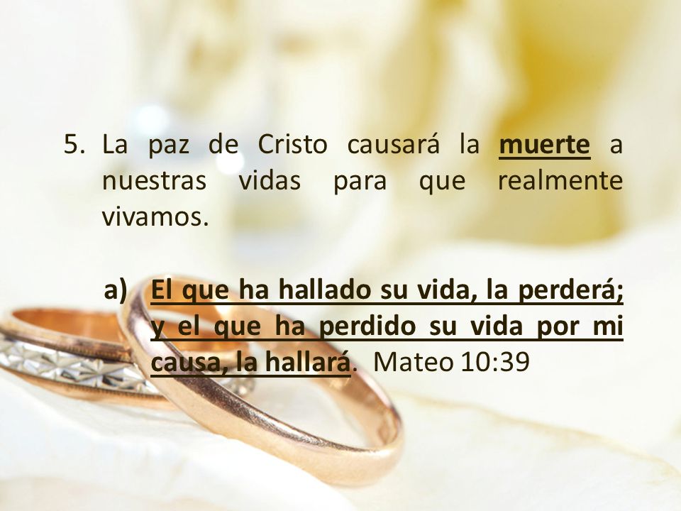 La paz de Cristo causará la muerte a nuestras vidas para que realmente vivamos.