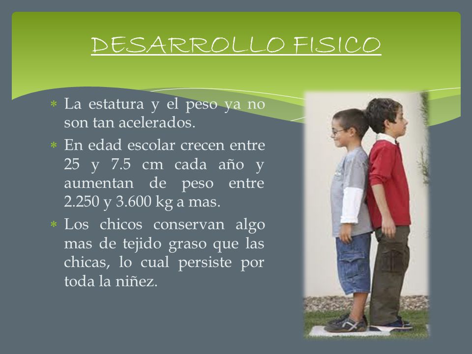 DESARROLLO FISICO La estatura y el peso ya no son tan acelerados.