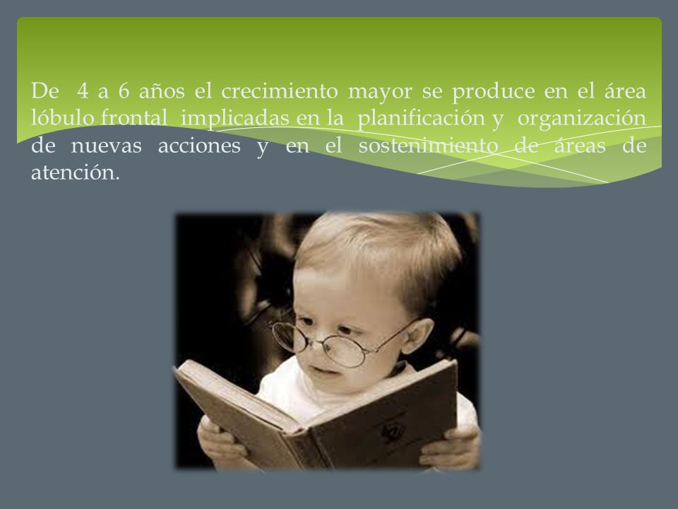 De 4 a 6 años el crecimiento mayor se produce en el área lóbulo frontal implicadas en la planificación y organización de nuevas acciones y en el sostenimiento de áreas de atención.