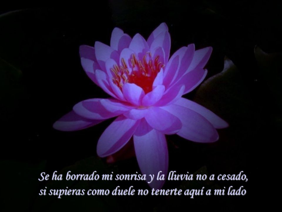 si supieras como duele no tenerte aquí a mi lado.