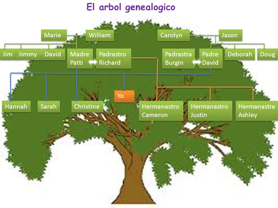 El arbol genealogico Marie William Carolyn Jason Jim Jimmy David Madre