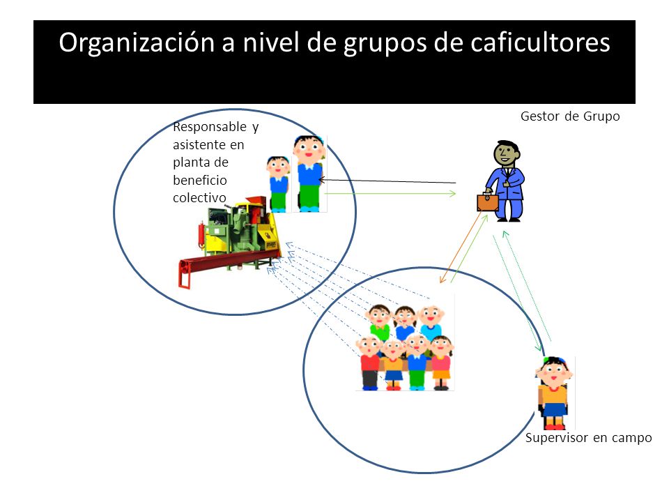 Organización a nivel de grupos de caficultores