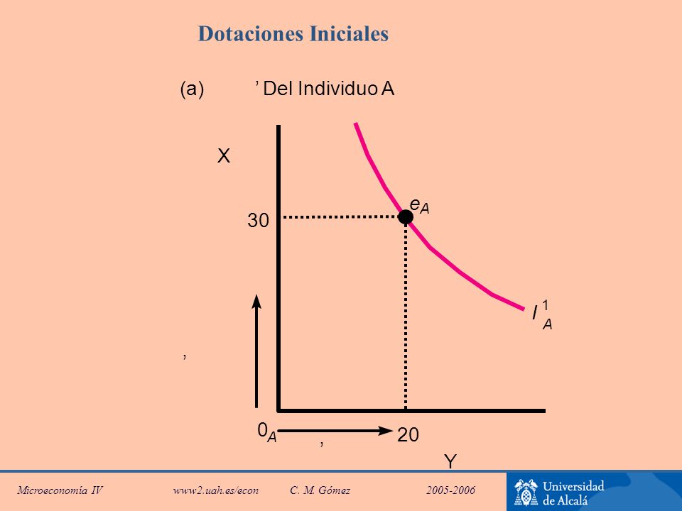 Dotaciones Iniciales (a) ’ Del Individuo A X e A 30 1 I A ’ 20 A ’ Y