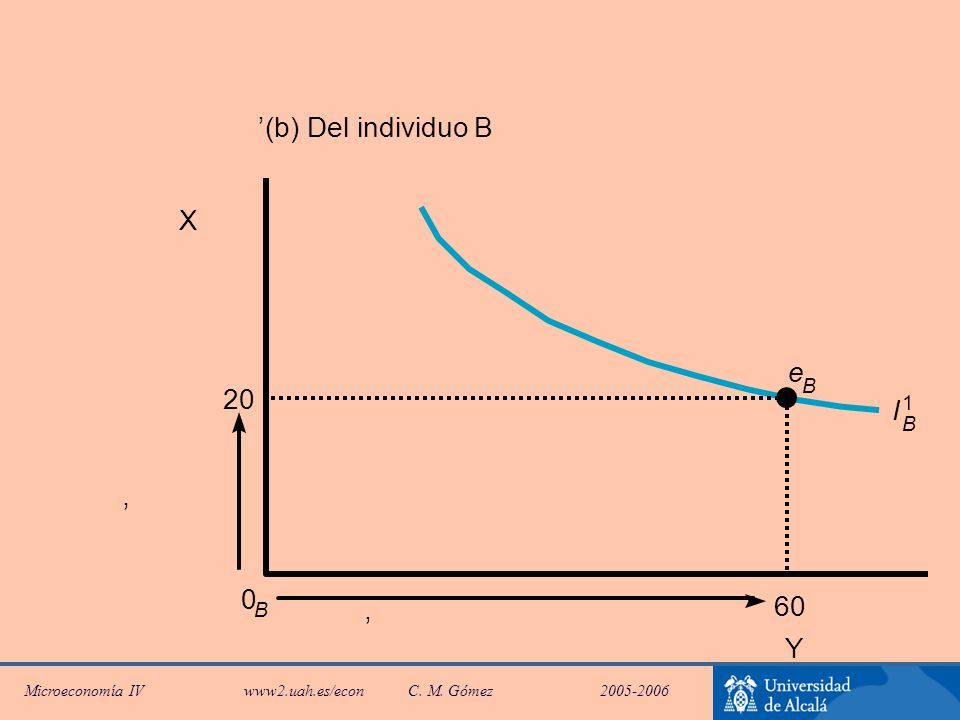 ’ (b) Del individuo B X e B 20 I 1 B ’ 60 B ’ Y