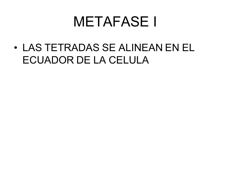 METAFASE I LAS TETRADAS SE ALINEAN EN EL ECUADOR DE LA CELULA