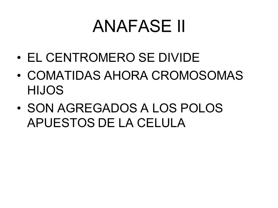 ANAFASE II EL CENTROMERO SE DIVIDE COMATIDAS AHORA CROMOSOMAS HIJOS