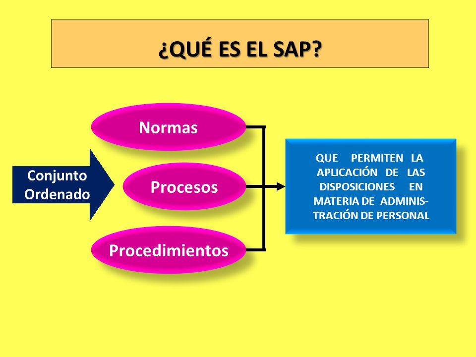 ¿QUÉ ES EL SAP Normas Procesos Procedimientos Conjunto Ordenado