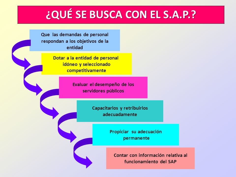 ¿QUÉ SE BUSCA CON EL S.A.P. Que las demandas de personal