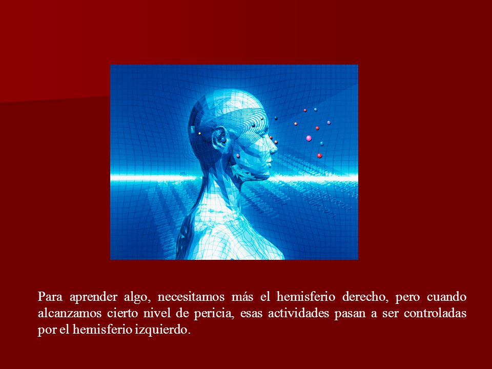 Para aprender algo, necesitamos más el hemisferio derecho, pero cuando alcanzamos cierto nivel de pericia, esas actividades pasan a ser controladas por el hemisferio izquierdo.