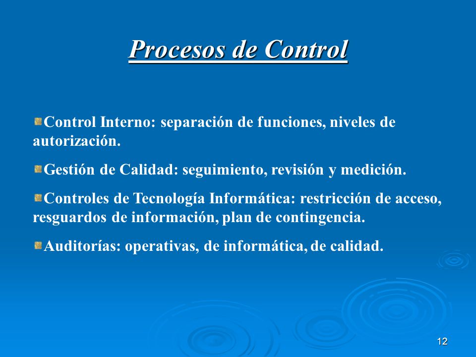 Procesos de Control Control Interno: separación de funciones, niveles de autorización. Gestión de Calidad: seguimiento, revisión y medición.