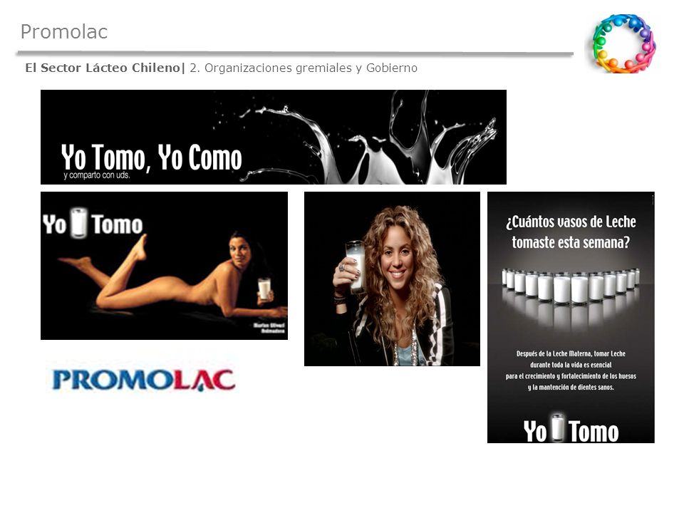 Promolac El Sector Lácteo Chileno| 2. Organizaciones gremiales y Gobierno