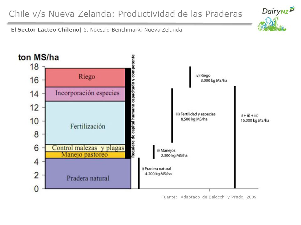 Chile v/s Nueva Zelanda: Productividad de las Praderas