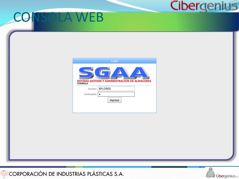 CONSOLA WEB