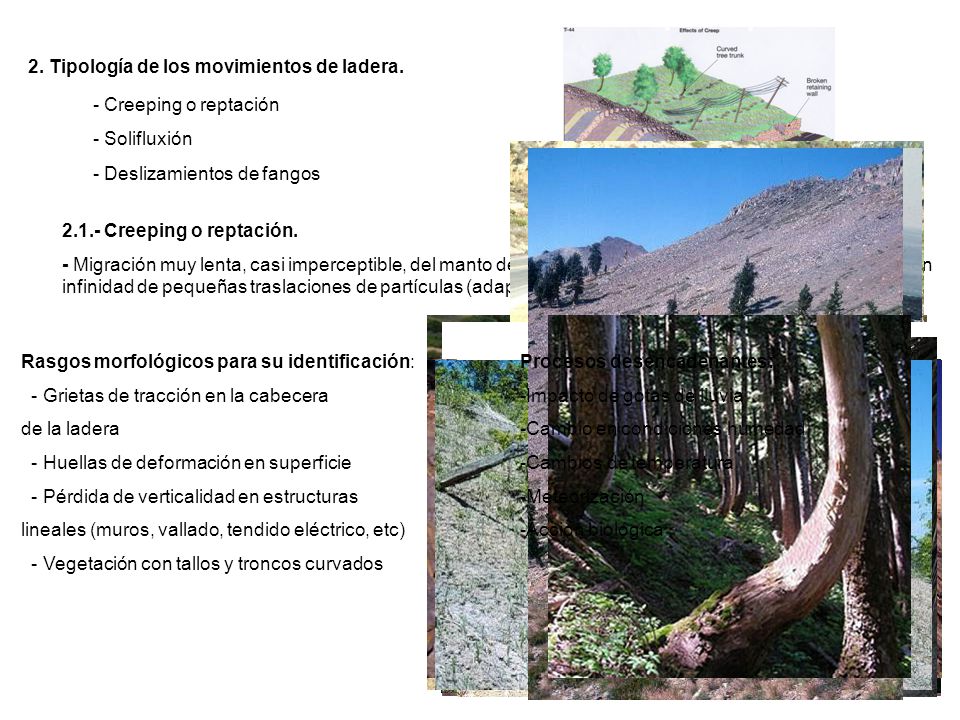 2. Tipología de los movimientos de ladera.