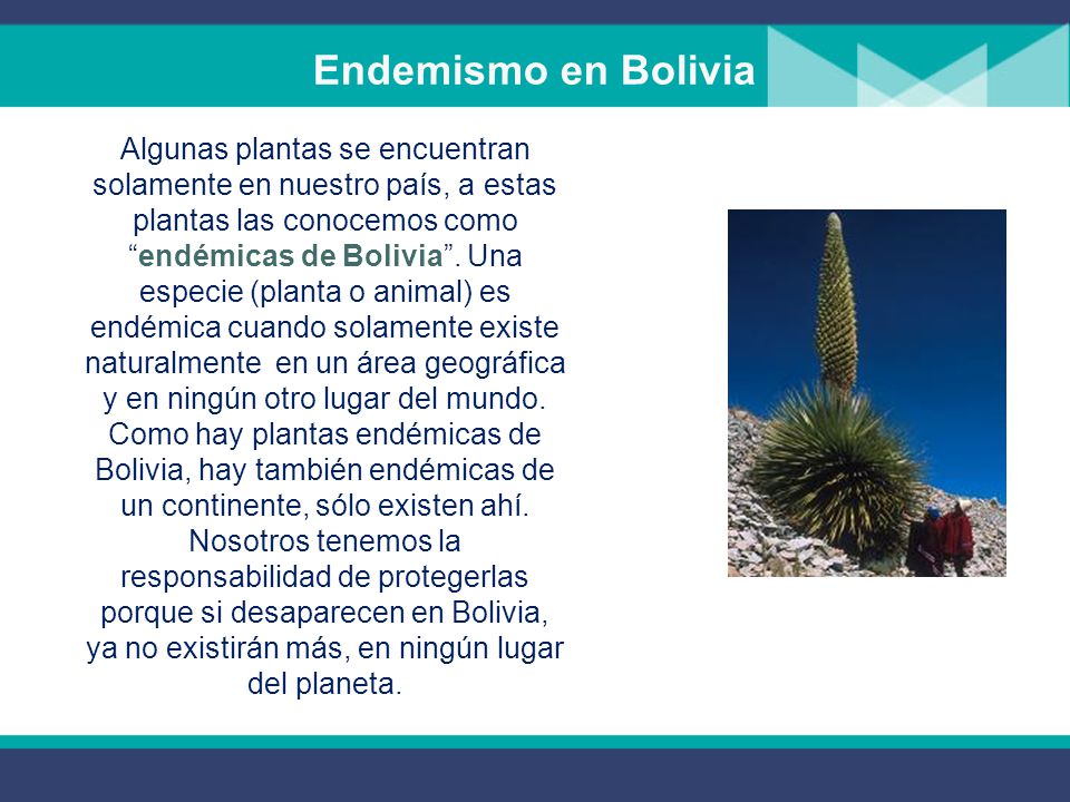 Endemismo en Bolivia