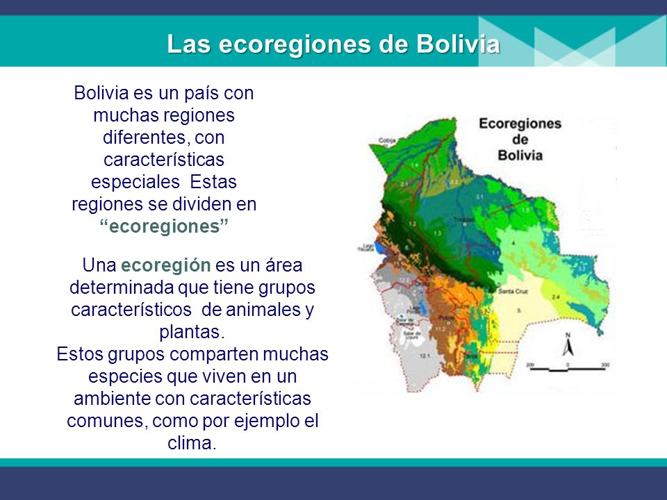 Las ecoregiones de Bolivia