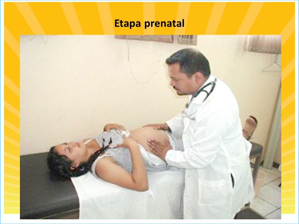 Etapa prenatal