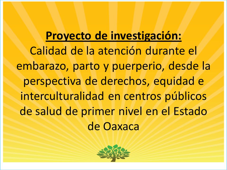 Proyecto de investigación: Calidad de la atención durante el embarazo, parto y puerperio, desde la perspectiva de derechos, equidad e interculturalidad en centros públicos de salud de primer nivel en el Estado de Oaxaca