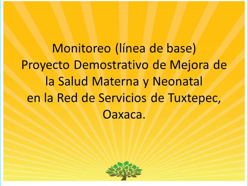 Monitoreo (línea de base) Proyecto Demostrativo de Mejora de la Salud Materna y Neonatal en la Red de Servicios de Tuxtepec, Oaxaca.