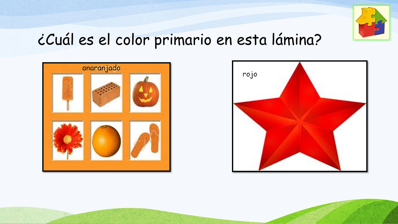 ¿Cuál es el color primario en esta lámina
