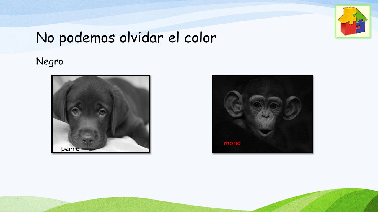 No podemos olvidar el color