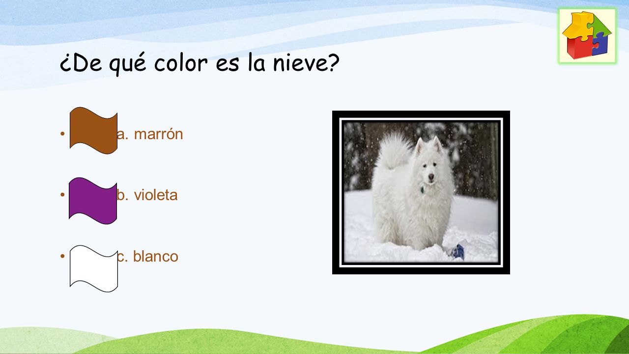 ¿De qué color es la nieve