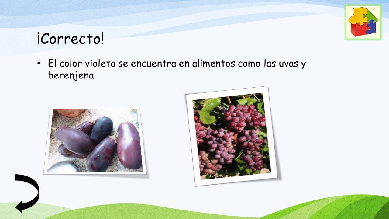 ¡Correcto! El color violeta se encuentra en alimentos como las uvas y berenjena