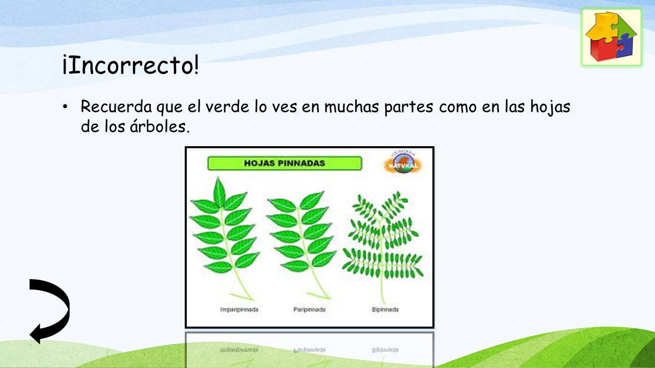 ¡Incorrecto! Recuerda que el verde lo ves en muchas partes como en las hojas de los árboles.