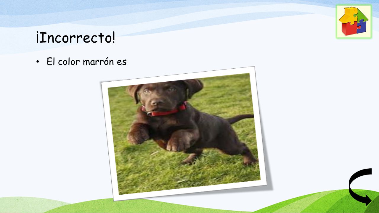 ¡Incorrecto! El color marrón es